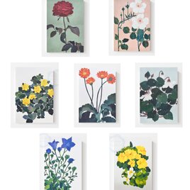 花の水彩画イラストポストカード 7 枚セット