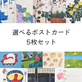 選べるポストカード 5 枚セット