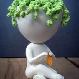 編み込みアクセント付きロバート・プラント鉢