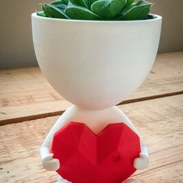 愛の心を持つロバートプラントポット