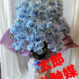 光触媒 人工観葉植物 ウォールグリーン フェイクグリーン