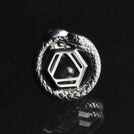 ベンゼン[ケクレver.]ピアス(イヤリング変更可)　化学式アクセサリー®