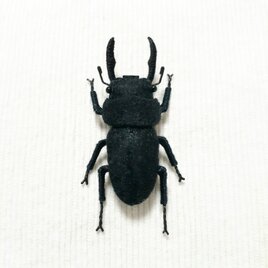 コクワガタ(オス)のぬいぐるみ