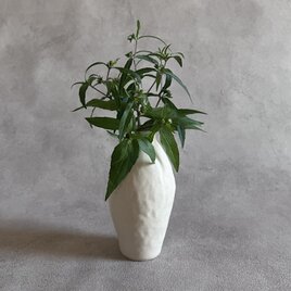 フラワーベース　生成り