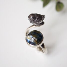 nach オカメインコの指輪（約13号） オカメインコリング | iichi 日々の暮らしを心地よくする