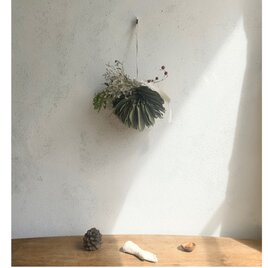 採れたてスモークツリー フライングリース ボール | iichi 日々