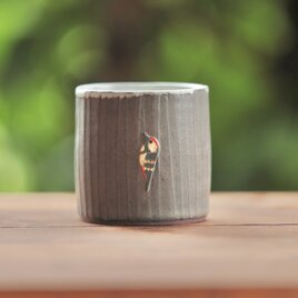 キツツキノコップ