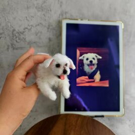 [オーダーメイド] 羊毛フェルト ペッ｜写真から作る ペット ぬいぐるみ｜うちの子 似顔人形｜愛犬・愛猫 プレゼントそっくり再現