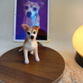[オーダーメイド] 羊毛フェルト ペッ｜写真から作る ペット ぬいぐるみ｜うちの子 似顔人形｜愛犬・愛猫 プレゼントそっくり再現