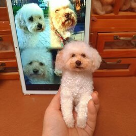 [オーダーメイド] 羊毛フェルト ペッ｜写真から作る ペット ぬいぐるみ｜うちの子 似顔人形｜愛犬・愛猫 プレゼントそっくり再現