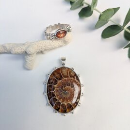 アンモナイトのペンダヘッド