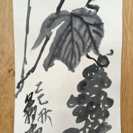 ポストカード 水墨　葡萄