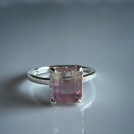 バイカラーフローライト　リング / sv925