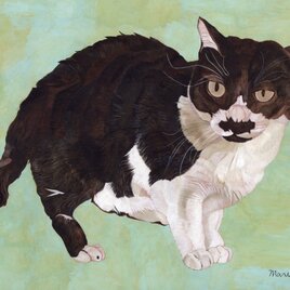 猫イラスト 「ねっころがる猫」（複製画） | iichi 日々の暮らしを