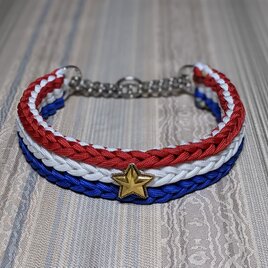 「Ｍさまオーダー品」パラコード首輪　中型～大型犬用　チェーンタイプ (全内径４２cm)