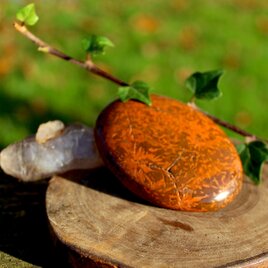 ブラウンクリサンセマム　パームストーン