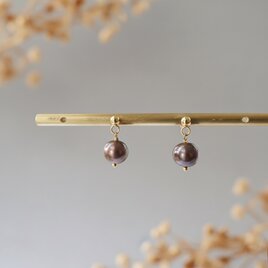 【数量限定】 淡水パールチョコレートブラウン色の一粒ピアス/イヤリング ダークブラウン 秋冬ピアス