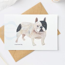 （61）ミックス犬シリーズb　ポストカード　3枚セット