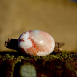 ピーチスコレサイト　パームストーン