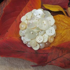 ボタンブローチ　8.6