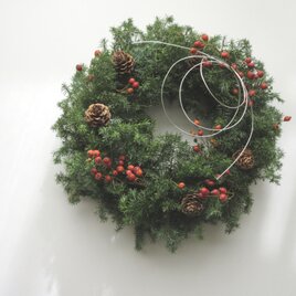 再販・2way＊薫るリース＊rose hip＊水引き付