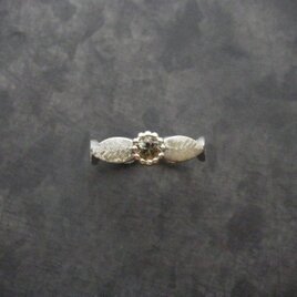 Botanical design Sapphire Ring　/　SV925、サファイア