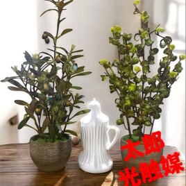 光触媒 人工観葉植物 ウォールグリーン フェイクグリーン サンセベリア