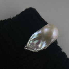 　金魚バロック【ヒレ真珠】