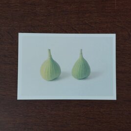 ポストカード(イチジク)