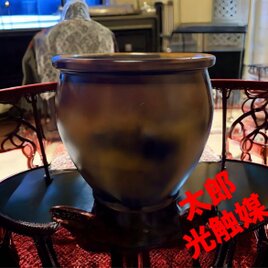 光触媒　観葉植物　ウォールグリーン　フェイクグリーン　８寸ブリキ風壺　鉢カバー