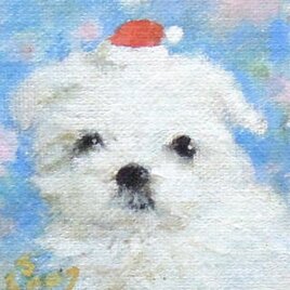 ホワイトテリアのサンタさん