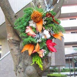 41ｃｍスワッグ　森の中から針葉樹の色どり　スワッグ　紅葉　ヒムロ杉　生花　自然の恵み