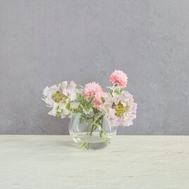 ふんわりやさしく咲く〔紫のスカビオサ〕フラワーインテリア　