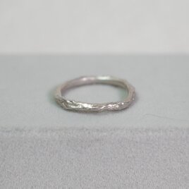 <SJ2nd>TWIGリング