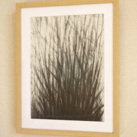 ant'sview2 （額縁付き） 立ちはだかる草むら