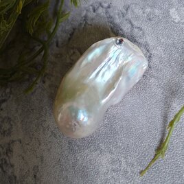 　金魚バロック【ヒレ真珠】