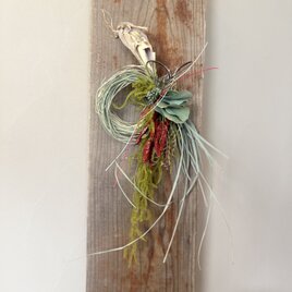 迎春のしつらえ　しめ縄飾り｜根付きレモングラス