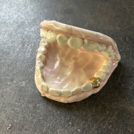 豆皿　総入れ歯