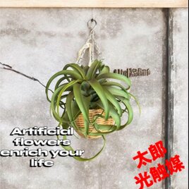 光触媒　人工観葉植物　ウォールグリーン　フェイクグリーン　壁掛けキセログラフィカ