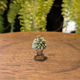 小さな小さなツリー