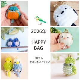 [新春福袋]キラキラ鳥がま口とストラップセット