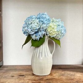 しのぎ手ピッチャー（蘭越）22㎝