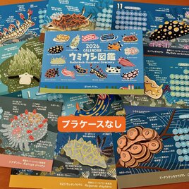 2026ウミウシ図鑑カレンダー（エコパック）