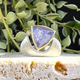 TreasureChest  タンザナイト　TRO-03S