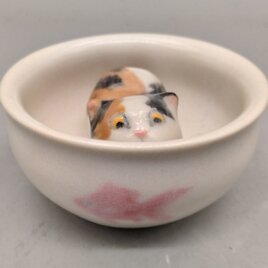 ぐいねこ　しろ