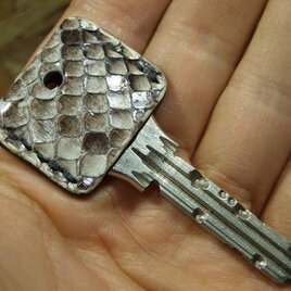 ツヤ有りパイソンのキーカバー