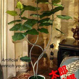 光触媒　人工観葉植物　ウォールグリーン　フェイクグリーン　ウンベラータ３本