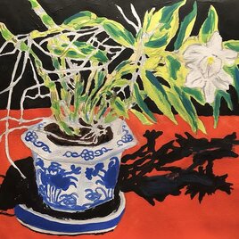 デンドロビウムの鉢植え