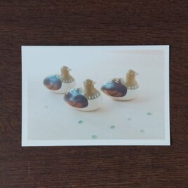 ポストカード(カモ)