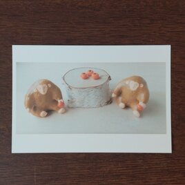 ポストカード(サル)